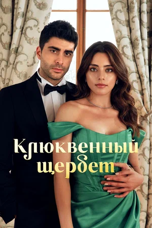 Клюквенный щербет 1-2 Сезон (Сериал 2023) "Kızılcık Şerbeti"