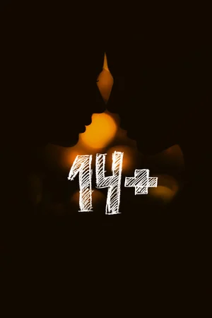 14+ (Фильм, 2015)