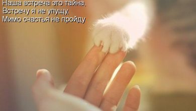 Photo of Тайна встречи