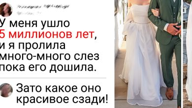 Photo of «Миллион лет до свадьбы»