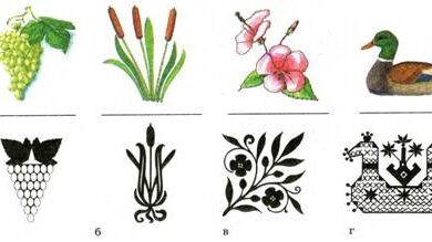 Photo of Основы стилизации идентификационной формы